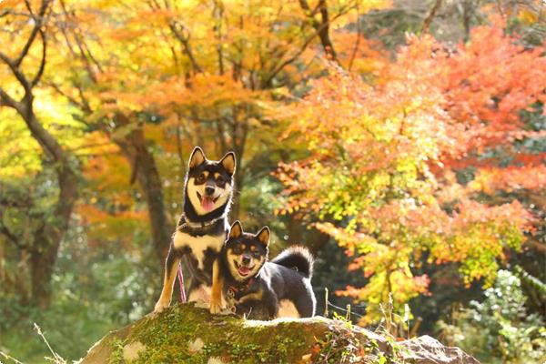 9・10月限定！秋プランのご案内